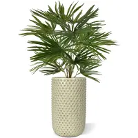 Maxifleur Kunstplanten Baby Fan kunstpalm 45cm