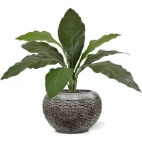 Maxifleur Kunstplanten Anthurium Jungle King kunstplant 60cm