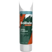 Rolith Bolivia Acrylplamuur Rapid 400G