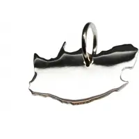 MOOYE ® - Collectie Zilveren Landkaart Zuid Afrike ketting hanger