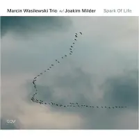 OUTHERE Marcin Wasilewski Trio, Joakim Milder - Spark Of Life (CD)