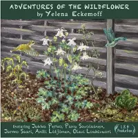 Coast2Coast Yelena Eckemoff - Adventures Of The Wildflower (2 CD)