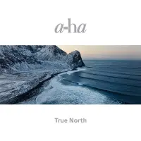 A-HA - True North (Limited Edition) (2 LP + CD + USB Card)