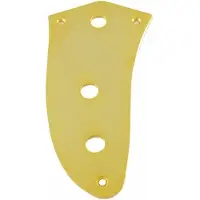 AllParts AP0659002 Gouden Controleplaat voor Jaguar