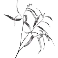 Silk-ka Kunstbloem-Zijde Eucalyptus Tak Zilver 98 cm