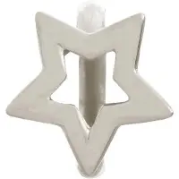 Endless Jewelry Endless Star Of Cassiopeia Silver Bedel Zilver 41103