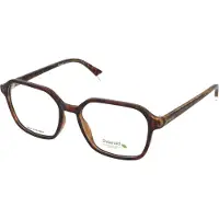 Polaroid Bril - - PLD D469 - Havana - Eco polyamide - 53/17/145