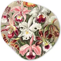 MuchoWow Organische wanddecoratie 40x40 cm - Organisch schilderij Bloemen - Ernst Haeckel - Vintage - Orchidee - Muurdecoratie woonkamer - Kamer decoratie - Schilderijen - Muurcirkel aesthetic