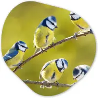 MuchoWow Organische wanddecoratie 90x90 cm - Organisch schilderij Vogel - Pimpelmees - Takken - Zon - Muurdecoratie woonkamer - Kamer decoratie - Schilderijen - Muurcirkel aesthetic