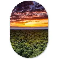 MuchoWow Muurovaal 60x90 cm - Ovale wanddecoratie Bos - Nacht - Lucht - Horizon - Bomen - Ovalen schilderij - Muurdecoratie woonkamer - Kamer decoratie - Schilderijen - Wandcirkel