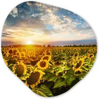 MuchoWow Organische wanddecoratie 90x90 cm - Organisch schilderij Bloemen - Zonnebloem - Lucht - Muurdecoratie woonkamer - Kamer decoratie - Schilderijen - Muurcirkel aesthetic