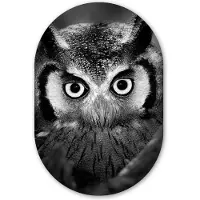 MuchoWow Muurovaal 40x60 cm - Ovale wanddecoratie Vogel - Uil - Portret- Zwart - Wit - Ovalen schilderij - Muurdecoratie woonkamer - Kamer decoratie - Schilderijen - Wandcirkel