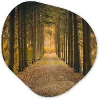 MuchoWow Organische wanddecoratie 90x90 cm - Organisch schilderij Pad - Bomen - Bos - Muurdecoratie woonkamer - Kamer decoratie - Schilderijen - Muurcirkel aesthetic