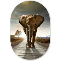 MuchoWow Muurovaal 60x90 cm - Ovale wanddecoratie Olifant - Weg - Dieren - Zonsondergang - Landschap - Ovalen schilderij - Muurdecoratie woonkamer - Kamer decoratie - Schilderijen - Wandcirkel