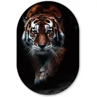 MuchoWow Muurovaal 60x90 cm - Ovale wanddecoratie Dieren - Tijger - Zwart - Wild - Portret - Ovalen schilderij - Muurdecoratie woonkamer - Kamer decoratie - Schilderijen - Wandcirkel