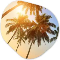 MuchoWow Organische wanddecoratie 90x90 cm - Organisch schilderij Palmboom - Zon - Zomer - Tropical - Muurdecoratie woonkamer - Kamer decoratie - Schilderijen - Muurcirkel aesthetic