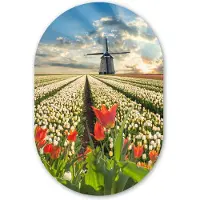 MuchoWow Muurovaal 60x90 cm - Ovale wanddecoratie Windmolen - Tulpen - Lucht - Natuur - Ovalen schilderij - Muurdecoratie woonkamer - Kamer decoratie - Schilderijen - Wandcirkel