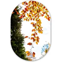 MuchoWow Muurovaal 40x60 cm - Ovale wanddecoratie Herfst - Bladeren - Natuur - Ovalen schilderij - Muurdecoratie woonkamer - Kamer decoratie - Schilderijen - Wandcirkel