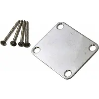 AllParts Gotoh Aged Chrome Nekplaat AP0600007