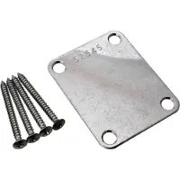AllParts AP0601007 Genummerd Nepschild in Verouderd Chroom