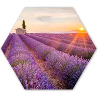 MuchoWow Hexagon wanddecoratie - Kunststof Wanddecoratie - Hexagon Schilderij - Lavendel - Zonsondergang - Bloemen - Paars - 120x103 cm