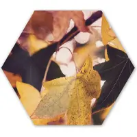 MuchoWow Hexagon wanddecoratie - Kunststof Wanddecoratie - Hexagon Schilderij - Bladeren - Esdoorn - Herfst - Seizoenen - 120x103 cm
