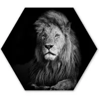 MuchoWow Hexagon wanddecoratie - Kunststof Wanddecoratie - Hexagon Schilderij - Wilde dieren - Leeuw - zwart - Wit - 120x103 cm
