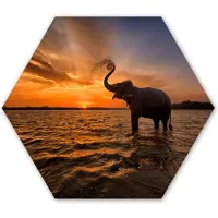 MuchoWow Hexagon wanddecoratie - Kunststof Wanddecoratie - Hexagon Schilderij - Olifant - Zee - Dieren - Zonsondergang - Oranje - 75x65 cm
