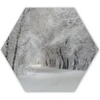 MuchoWow Hexagon wanddecoratie - Kunststof Wanddecoratie - Hexagon Schilderij - Bomen - Sneeuw - Winter - 75x65 cm - Kerstdecoratie in huis - Kerstmis