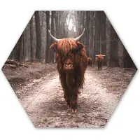 MuchoWow Hexagon wanddecoratie - Kunststof Wanddecoratie - Hexagon Schilderij - Schotse hooglander - Bos - Koe - Dieren - Natuur - 120x103 cm