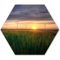 MuchoWow Hexagon wanddecoratie - Kunststof Wanddecoratie - Hexagon Schilderij - Windmolen - Zon - Gras - 75x65 cm