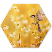 MuchoWow Hexagon wanddecoratie - Kunststof Wanddecoratie - Hexagon Schilderij - Vogel - Koolmees - Bloemen - Margriet - 75x65 cm