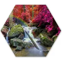 MuchoWow Hexagon wanddecoratie - Kunststof Wanddecoratie - Hexagon Schilderij - Regenboog - Waterval - Bomen - Stenen - Mos - 75x65 cm