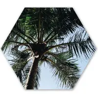 MuchoWow Hexagon wanddecoratie - Kunststof Wanddecoratie - Hexagon Schilderij - Palmboom - Lucht - Tuinposter - Tuin - Decoratie tuin - 75x65 cm