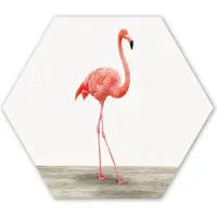 MuchoWow Hexagon wanddecoratie - Kunststof Wanddecoratie - Hexagon Schilderij - Flamingo - Roze - Vogel - Meisjes - Jongens - Kind - 120x103 cm