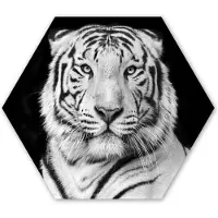 MuchoWow Hexagon wanddecoratie - Kunststof Wanddecoratie - Hexagon Schilderij - Tijger - Zwart - Wit - Portret - Dieren - 75x65 cm