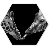 MuchoWow Hexagon wanddecoratie - Kunststof Wanddecoratie - Hexagon Schilderij - Dieren - Zwart - giraffe - Wit - Portret - 75x65 cm