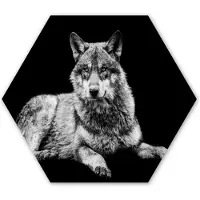 MuchoWow Hexagon wanddecoratie - Kunststof Wanddecoratie - Hexagon Schilderij - Wilde dieren - Wolf - Zwart - Wit - 120x103 cm