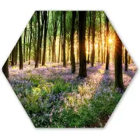 MuchoWow Hexagon wanddecoratie - Kunststof Wanddecoratie - Hexagon Schilderij - Bos - Bloemen - Lavendel - Zon - Paars - Natuur - 75x65 cm