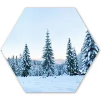 MuchoWow Hexagon wanddecoratie - Kunststof Wanddecoratie - Hexagon Schilderij - Winter - Sneeuw - Bomen - 75x65 cm - Kerstdecoratie in huis - Kerstmis