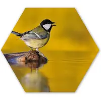 MuchoWow Hexagon wanddecoratie - Kunststof Wanddecoratie - Hexagon Schilderij - Koolmees - Vogel - Water - 75x65 cm