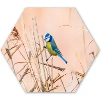 MuchoWow Hexagon wanddecoratie - Kunststof Wanddecoratie - Hexagon Schilderij - Vogel - Pimpelmees - Riet - 75x65 cm