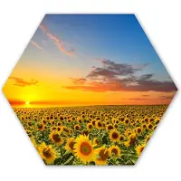 MuchoWow Hexagon wanddecoratie - Kunststof Wanddecoratie - Hexagon Schilderij - Bloemen - Zonnebloem - Zonsondergang - Nacht - Oranje - 75x65 cm