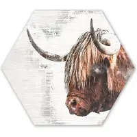 MuchoWow Hexagon wanddecoratie - Kunststof Wanddecoratie - Hexagon Schilderij - Schotse hooglander - Dieren - Potlood - 120x103 cm