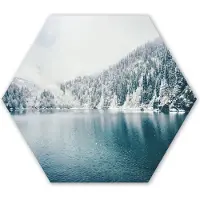 MuchoWow Hexagon wanddecoratie - Kunststof Wanddecoratie - Hexagon Schilderij - Winter - Water - Sneeuw - 120x103 cm - Kerstdecoratie in huis - Kerstmis