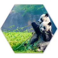MuchoWow Hexagon wanddecoratie - Kunststof Wanddecoratie - Hexagon Schilderij - Panda - Bamboe - Gras - Dieren - 75x65 cm