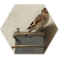 MuchoWow Hexagon wanddecoratie - Kunststof Wanddecoratie - Hexagon Schilderij - Het puttertje - Carel Fabritius - 75x65 cm