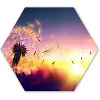 MuchoWow Hexagon wanddecoratie - Kunststof Wanddecoratie - Hexagon Schilderij - Paardenbloem - Bloemen - Zonsondergang - Horizon - Nacht - 120x103 cm - Kerstdecoratie in huis - Kerstmis