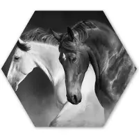 MuchoWow Hexagon wanddecoratie - Kunststof Wanddecoratie - Hexagon Schilderij - Paarden - Dieren - Zwart - Wit - Portret - 75x65 cm
