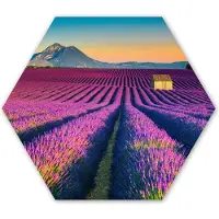 MuchoWow Hexagon wanddecoratie - Kunststof Wanddecoratie - Hexagon Schilderij - Lavendel - Berg - Bloemen - 75x65 cm